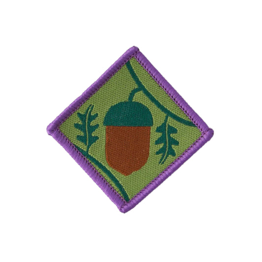 Young Leader Scheme Module A