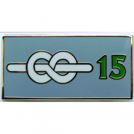 15 Yrs Chief Scout's Service Award Pin Badge