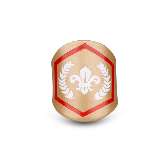 Chief Scout's Gold Award Woggle