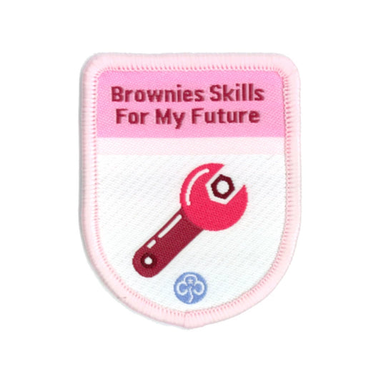 Theme award - Brownies Skills For My Future