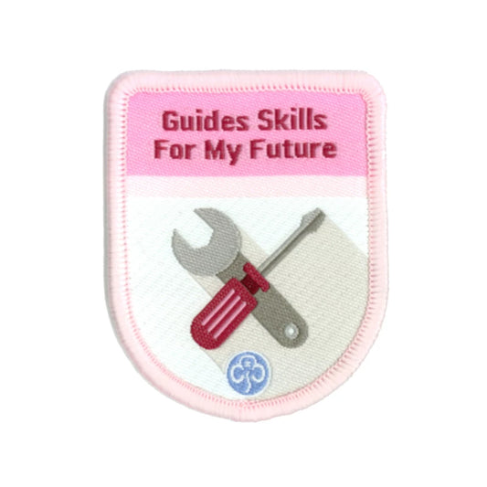 Theme award - Guides Skills For My Future