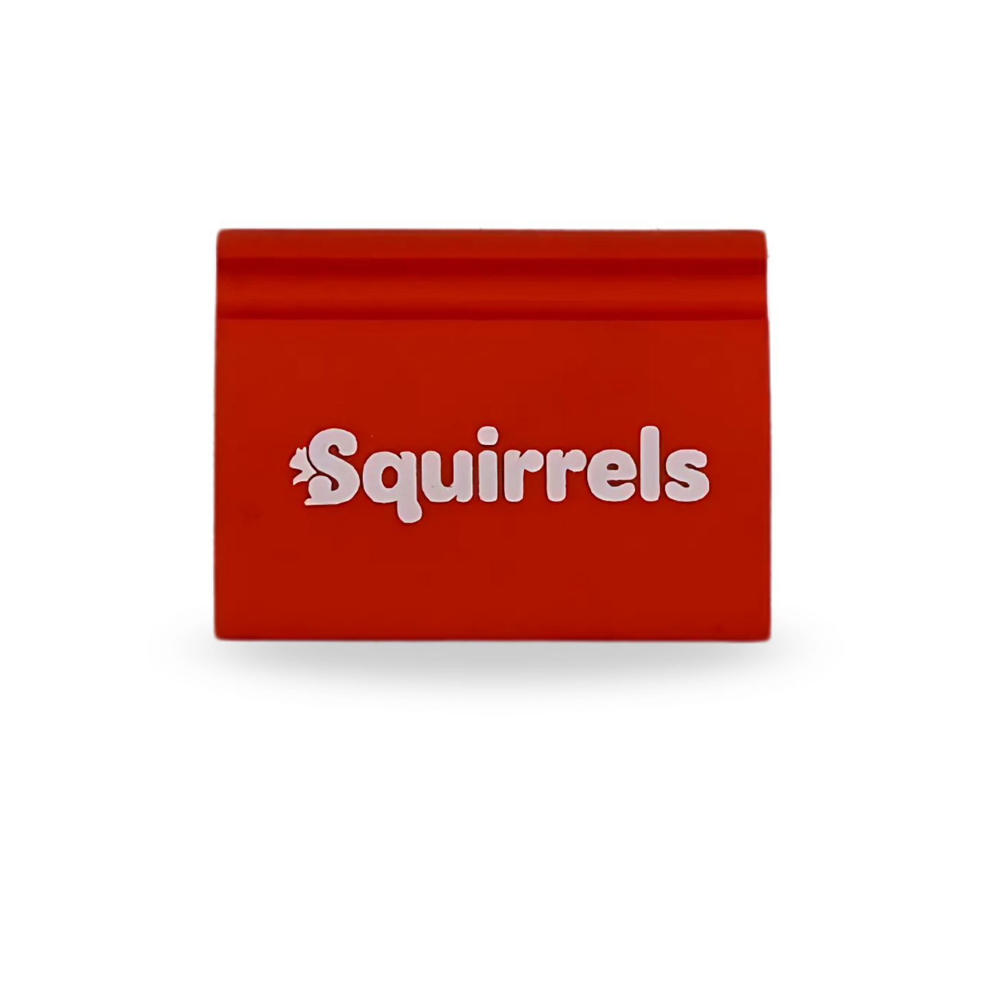 Squirrels Notebook Eraser