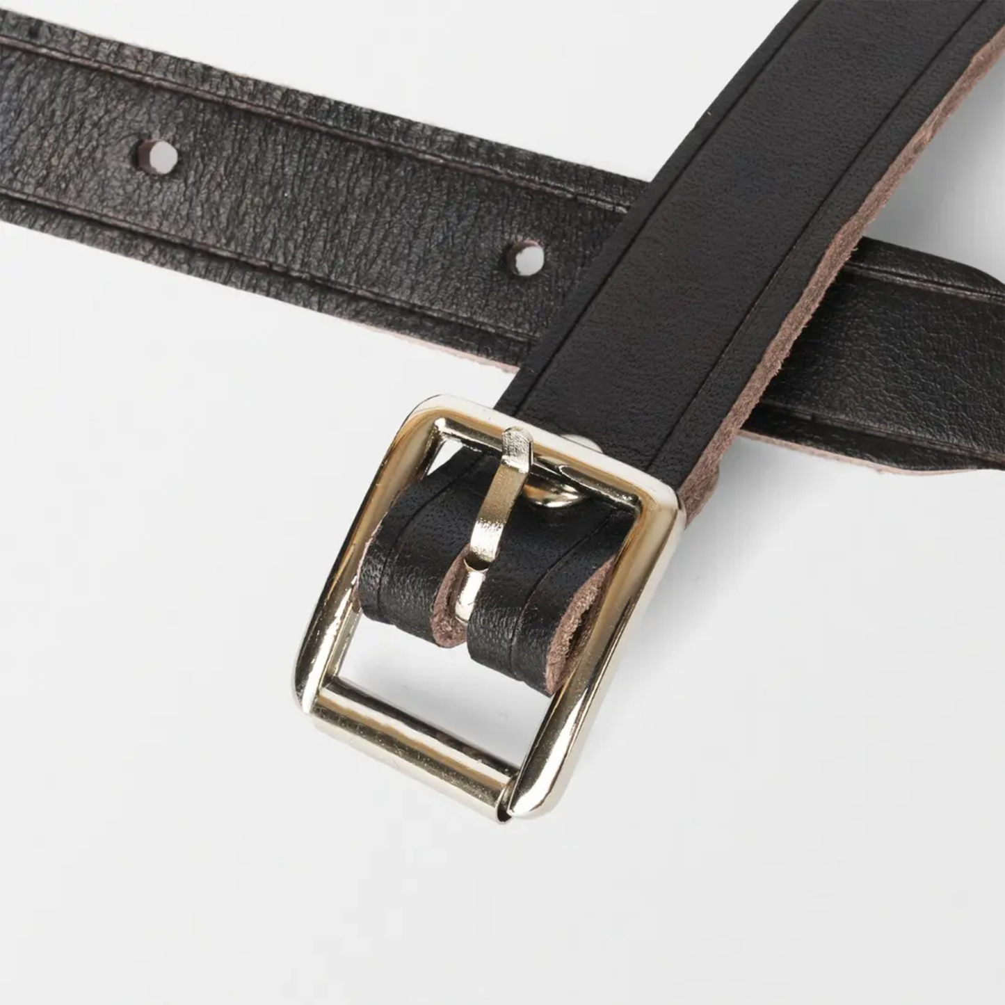 Beavers Flag Carrier