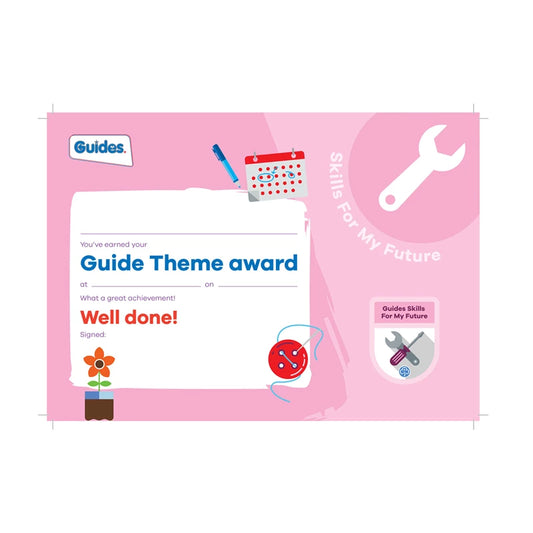 Theme award - Guides Skills For My Future certificate