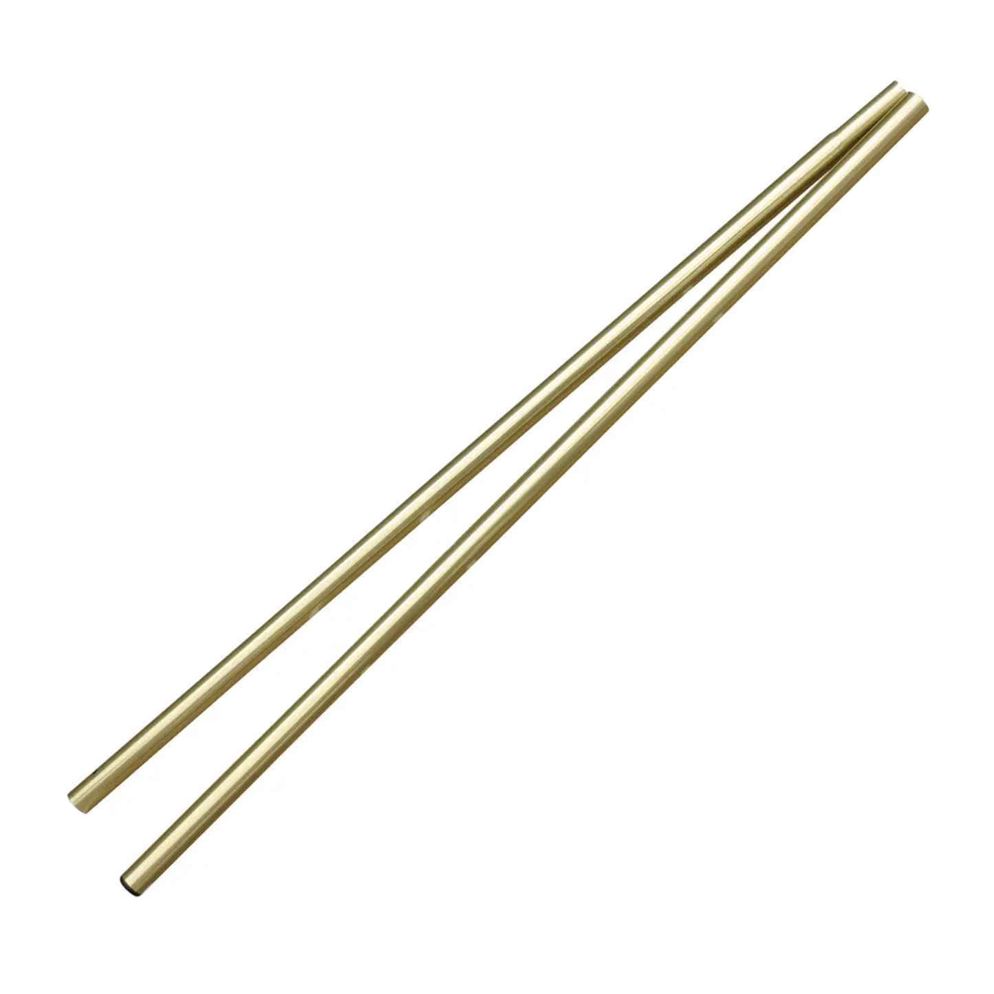 Beaver/ Squirrel Flag Pole