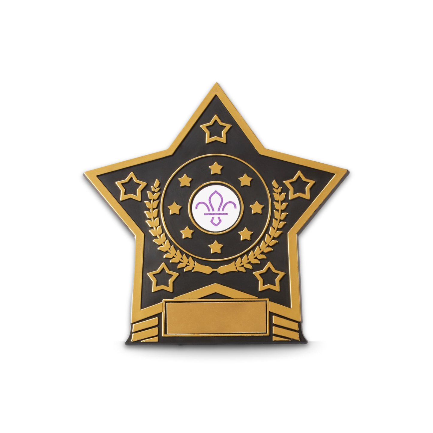 Star Trophy with Fleur de Lis Scouts Logo 14cm