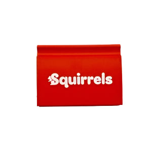 Squirrels Notebook Eraser