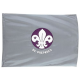 Scout Network Flag