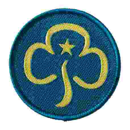 Senior Section Woven Section Badge