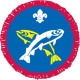 Scout Activity Angler