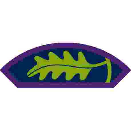 Young Leader Mission Badge