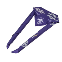 World Scout Printed Knot Scarf