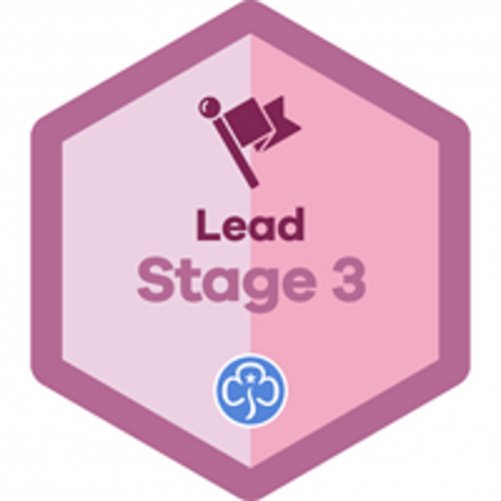 Lead Stage 3