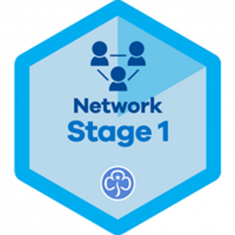 Network Stage 1