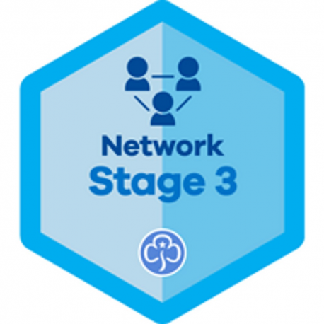 Network Stage 3