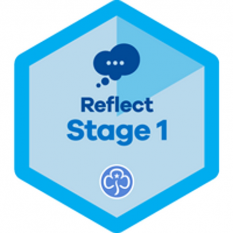 Reflect Stage 1