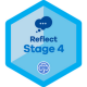 Reflect Stage 4
