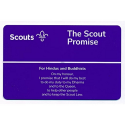 Scout Promise Card - Hindus