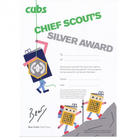 Scouts Beavers Cubs Club Certificates Bronze Silver Award Record Card Pack of 10 