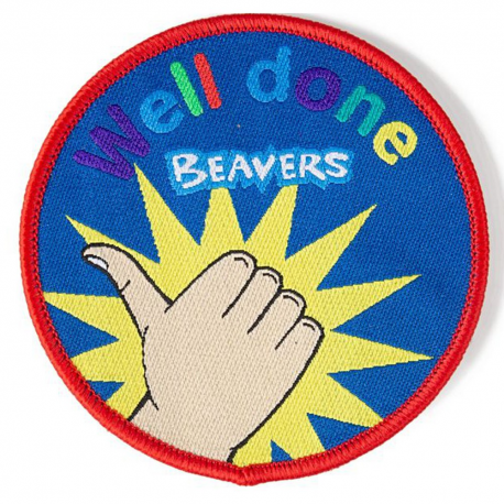 Beaver Well Done Fun Badge