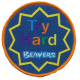 Beaver Scouts 'Try Hard' Fun Badge