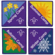 Scouting Fun Badge - Winter Camp