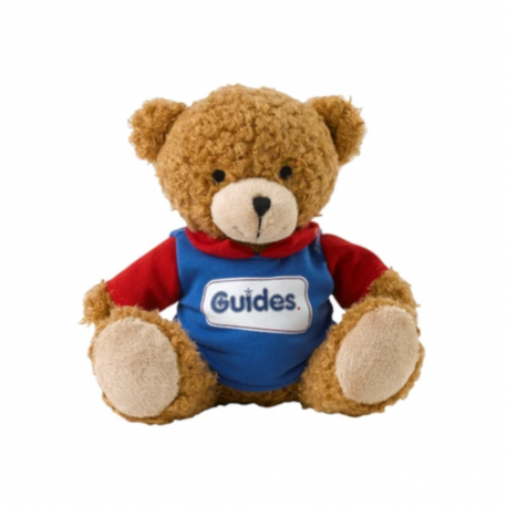 Guides Teddy