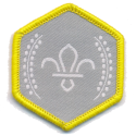 Chief Scout's Silver Award