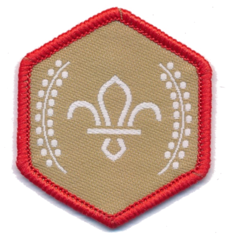 Chief Scout's Gold Award - The Scout and Guide Shop