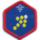 Scout Team Leader Challenge Award
