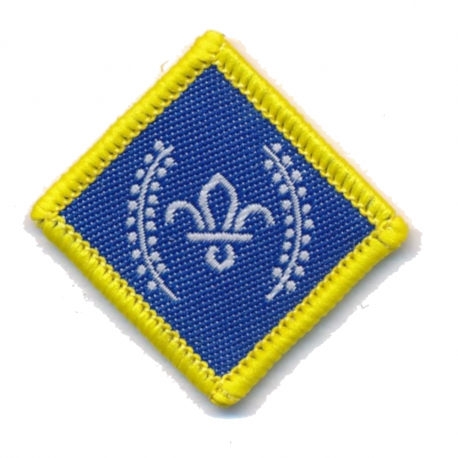 Chief Scout's Platinum Award