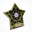 Star Trophy with Fleur de Lis Scouts Logo 12cm