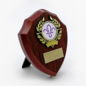 Shield Trophy with Fleur de Lis Scouts Logo 13cm
