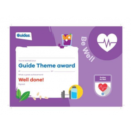 Theme Award – Guides Be Well certificate