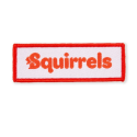 COMING SOON! - Squirrel Scouts Logo Fun Badge