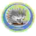 Hedgehog Emblem - Woven