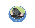 Mole Emblem - Metal