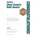 Chief Scout's Gold Award Certificate (Pack of 10)