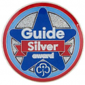 Silver award - Guides metal badge