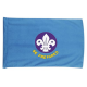 Air Scout Section Flag
