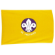 Cub Scout Section Flag