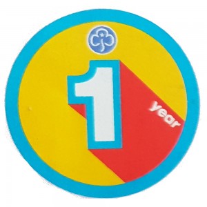 Anniversary Badges