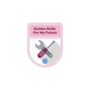 Guides Theme Awards
