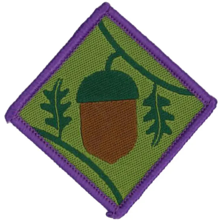 Network And Leader Badges