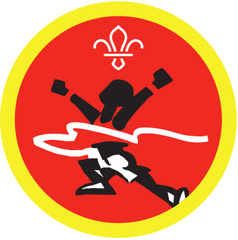 Cub Activity Badges
