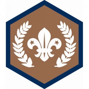 Beaver Challenge/CSA Badges