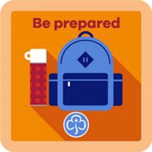 Guide Interest Badges