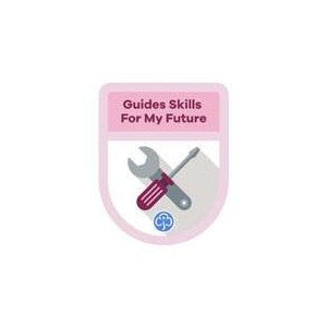 Guide Theme Awards and Certificates