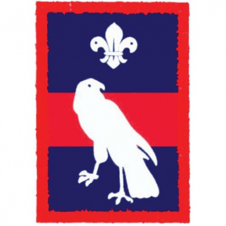 Scout Patrol Badges