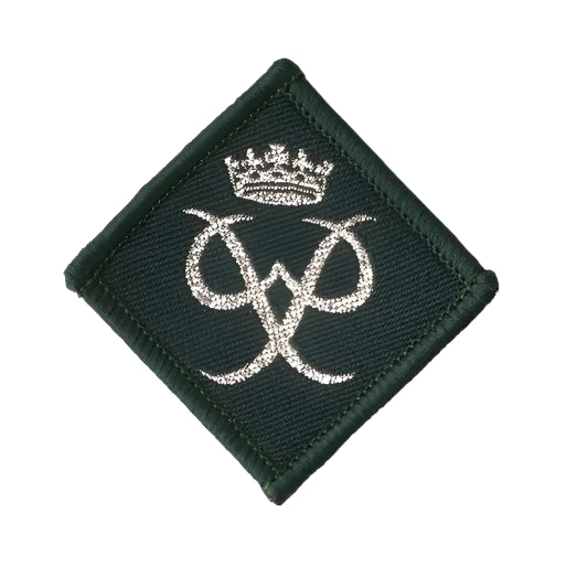 D Of E Award Silver Award - Pack 25